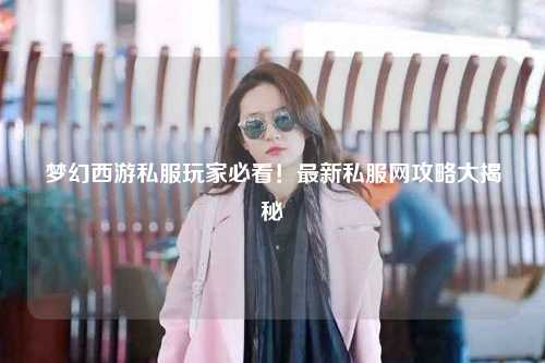 夢(mèng)幻西游私服玩家必看！最新私服網(wǎng)攻略大揭秘