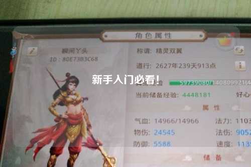 新手入門必看！