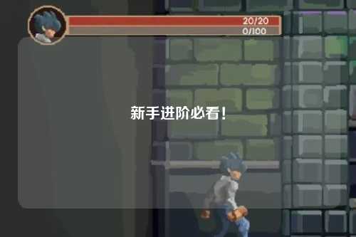 新手進(jìn)階必看！