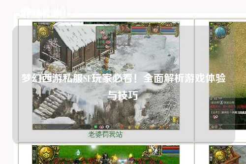 夢(mèng)幻西游私服SF玩家必看！全面解析游戲體驗(yàn)與技巧