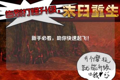 新手必看，助你快速起飛！