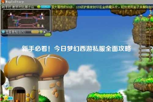 新手必看！今日夢(mèng)幻西游私服全面攻略