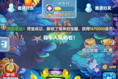 新手入坑必看！
