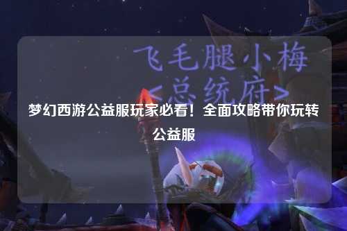 夢幻西游公益服玩家必看！全面攻略帶你玩轉(zhuǎn)公益服