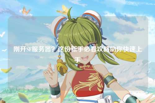 剛開SF服務(wù)器？這份新手必看攻略助你快速上手