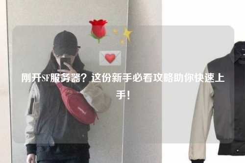 剛開(kāi)SF服務(wù)器？這份新手必看攻略助你快速上手！