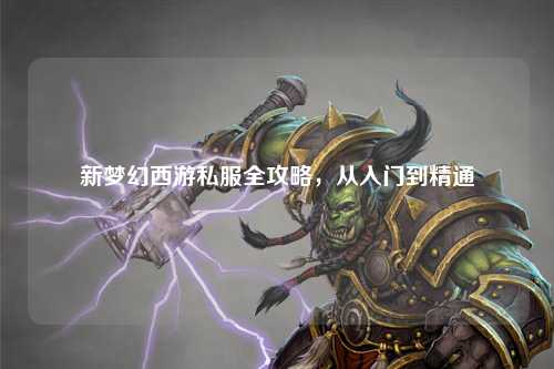 新夢(mèng)幻西游私服全攻略，從入門到精通