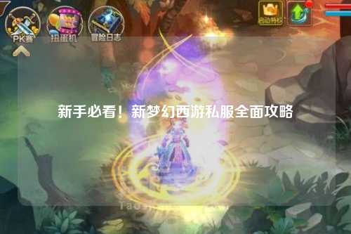 新手必看！新夢(mèng)幻西游私服全面攻略