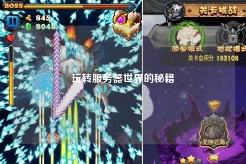 玩轉(zhuǎn)服務器世界的秘籍
