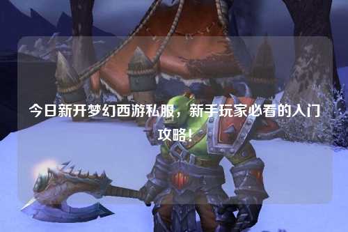 今日新開夢幻西游私服，新手玩家必看的入門攻略！